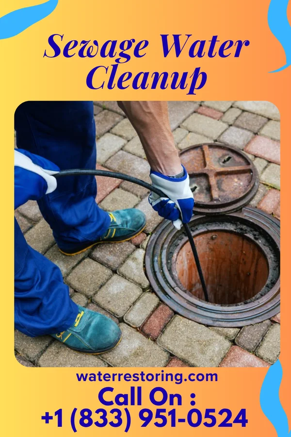 Sewage Water Cleanup in Kewanna, IN